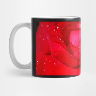 Red Hybrid Tea, Rose, Dewdrops, Flower Mug